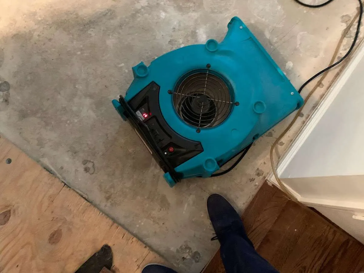 Air mover drying subfloor during Leak Detection & Repair in Meadow Woods