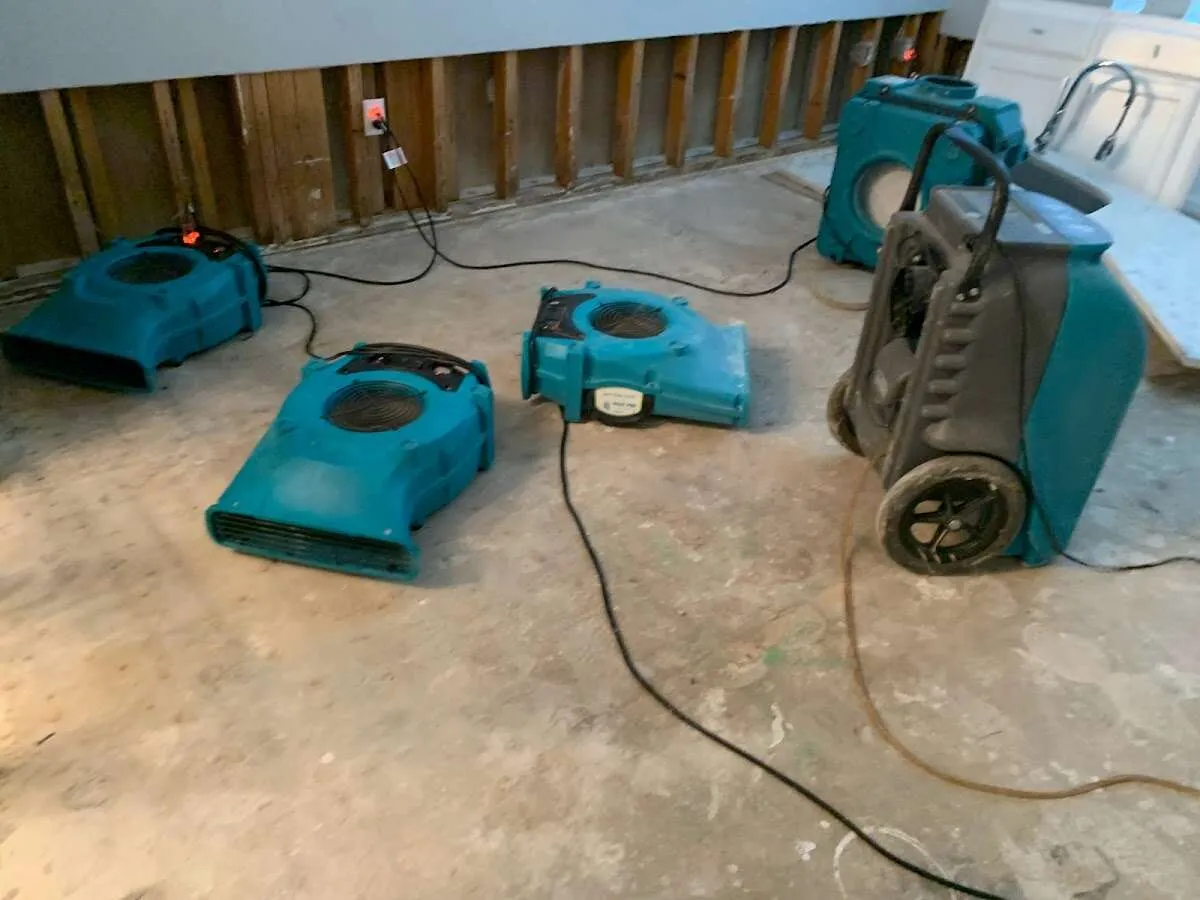 Water Damage Restoration services in Meadow Woods, FL